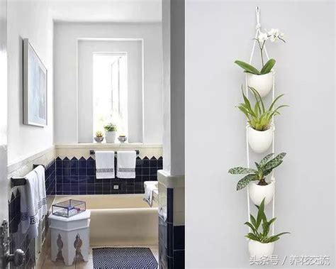 浴室植栽 房間有樑柱怎麼辦